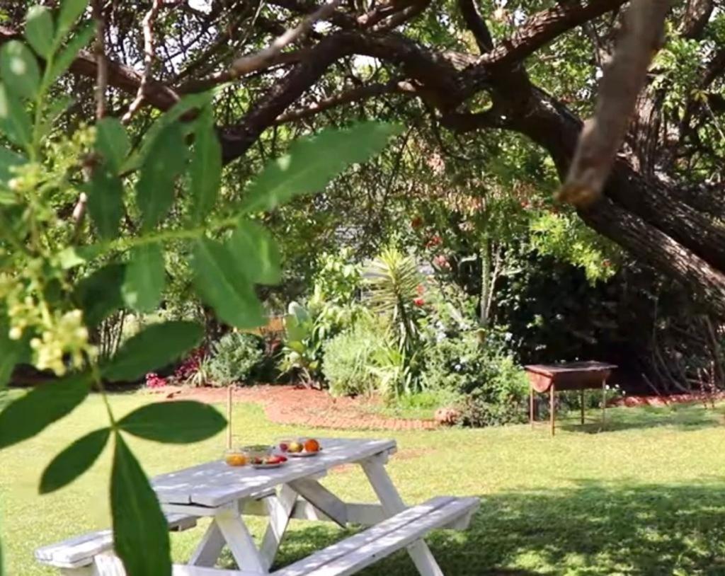 Choice Backpackers Lodge Bulawayo Dış mekan fotoğraf